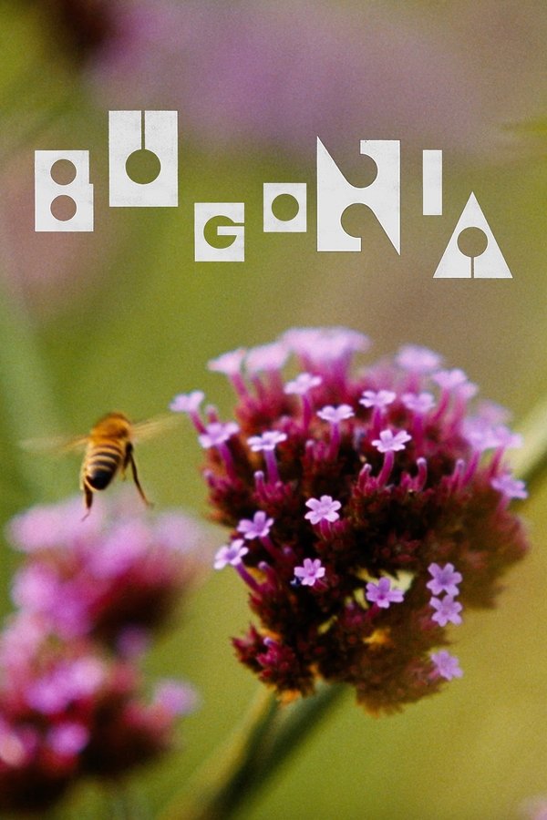 Bugonia